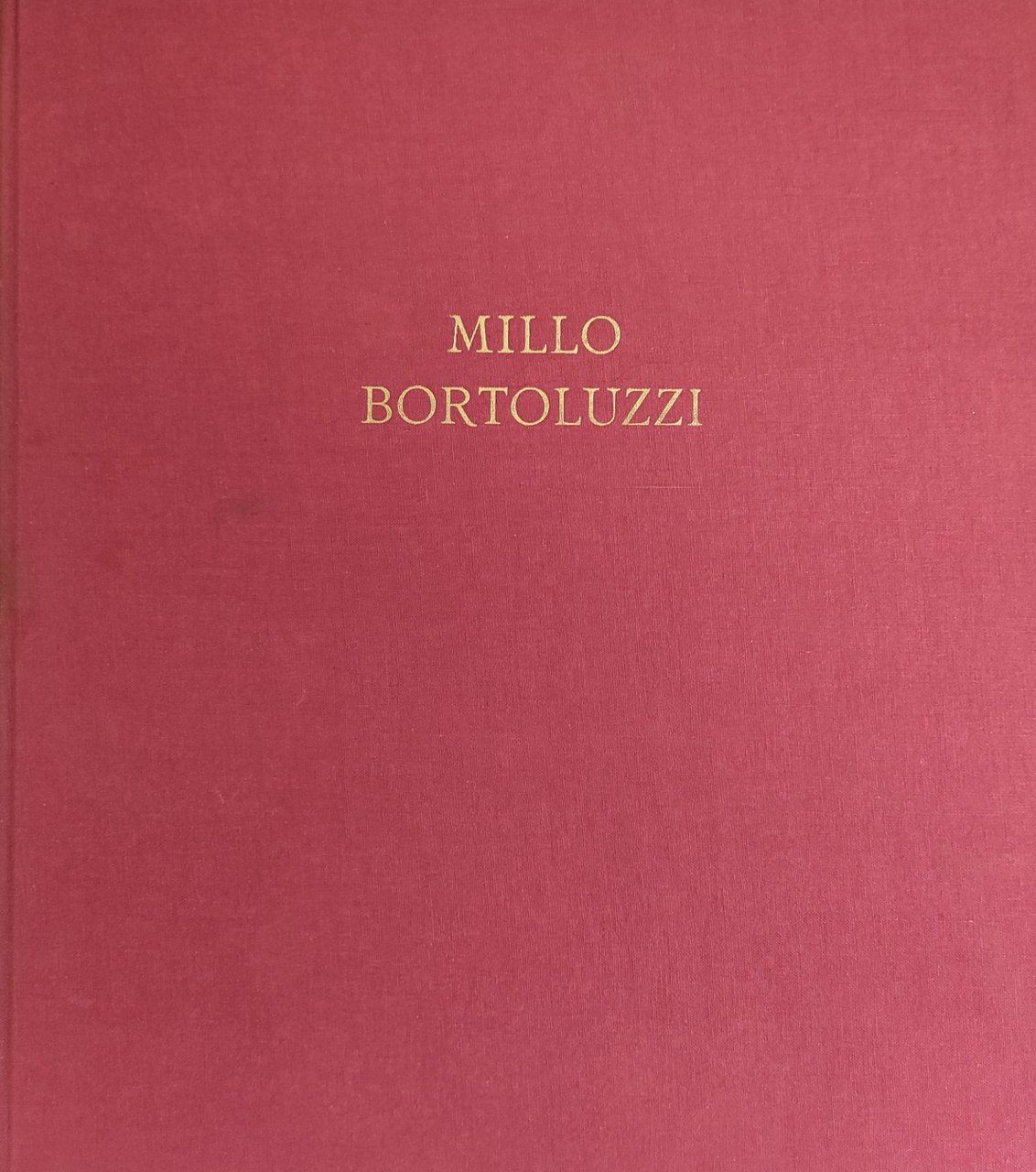 MILLO BORTOLUZZI