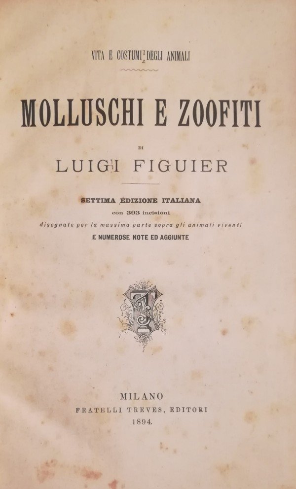 MOLLUSCHI E ZOOFITI