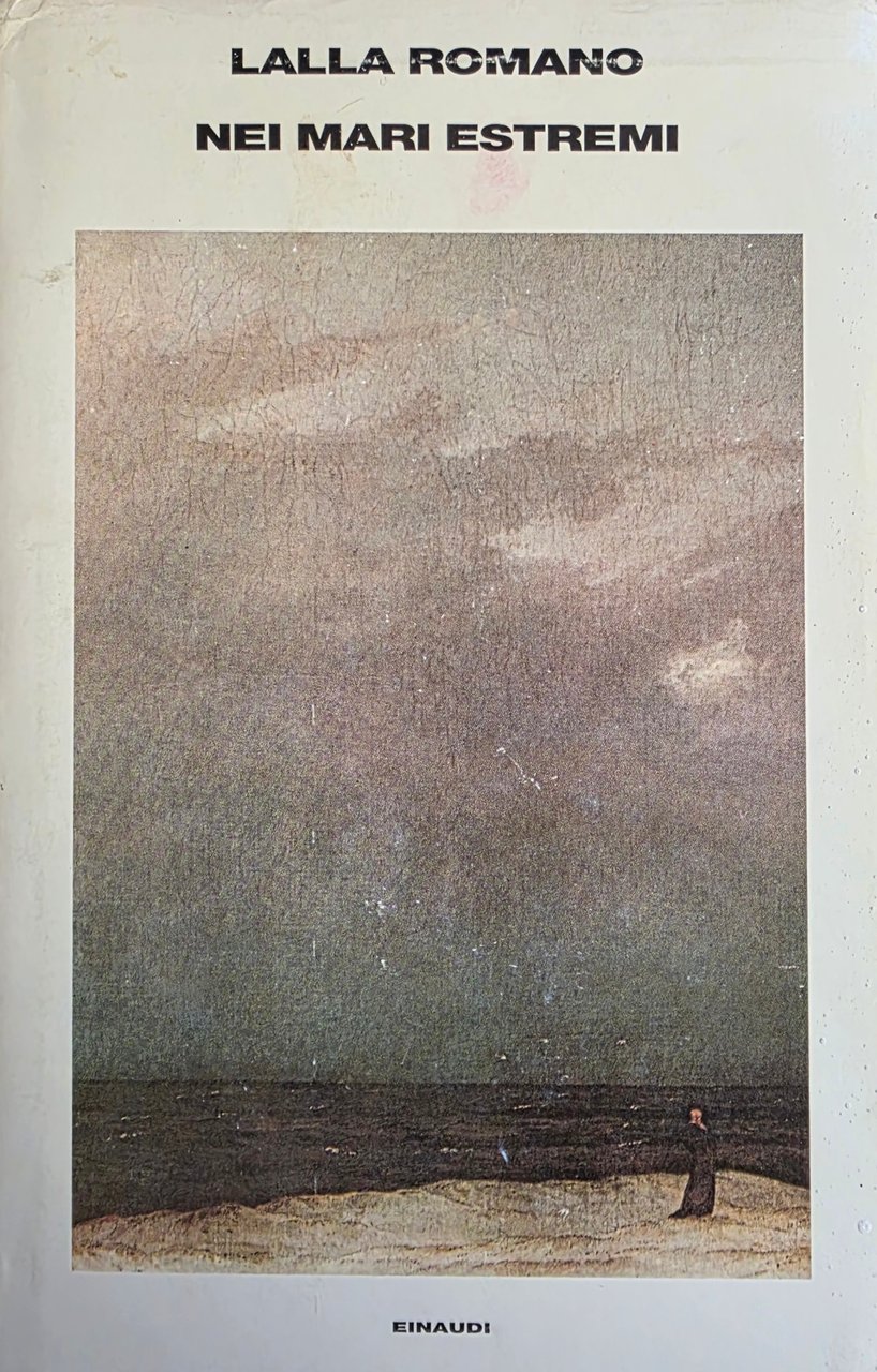 NEI MARI ESTREMI