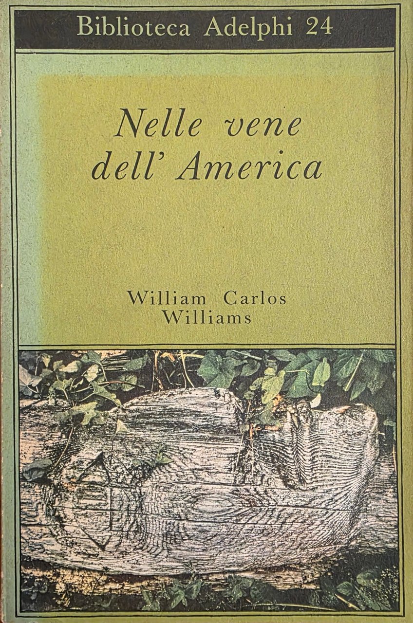 NELLE VENE DELL' AMERICA
