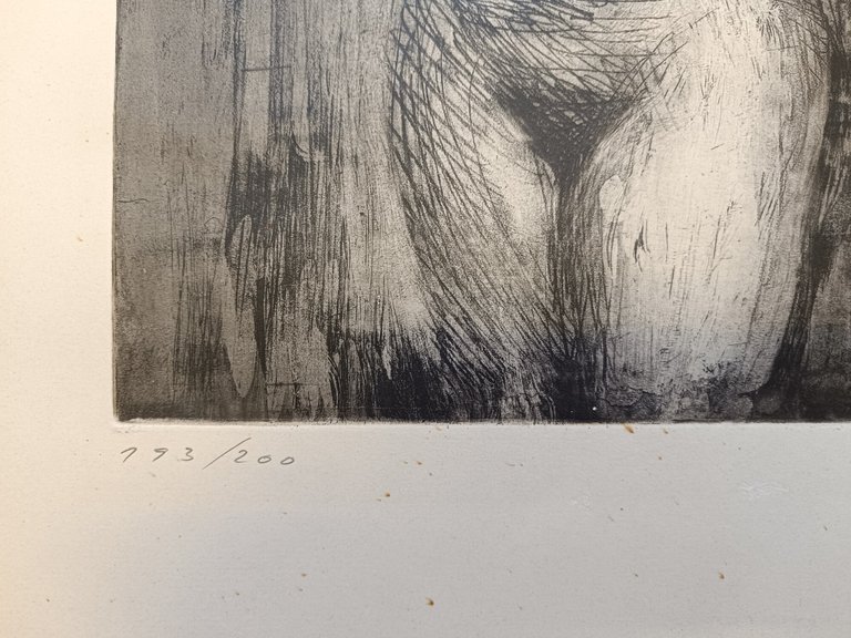 NUDO | Immagine Gallery 3