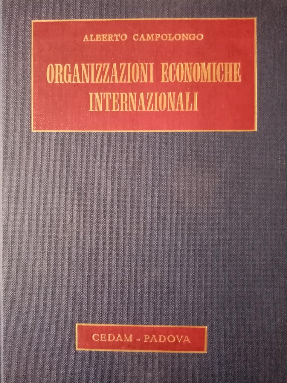 ORGANIZZAZIONI ECONOMICHE INTERNAZIONALI