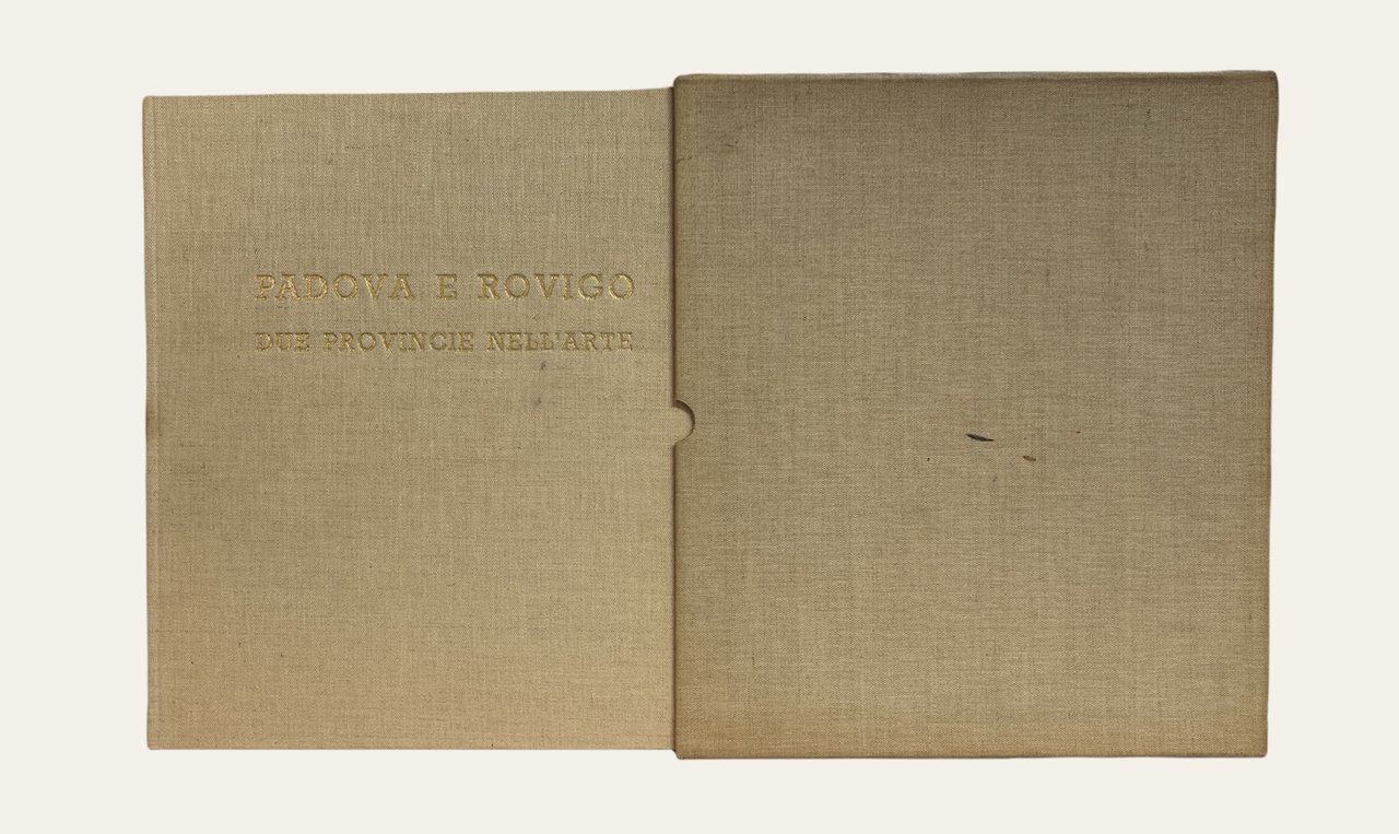 PADOVA E ROVIGO: DUE PROVINCIE NELL'ARTE
