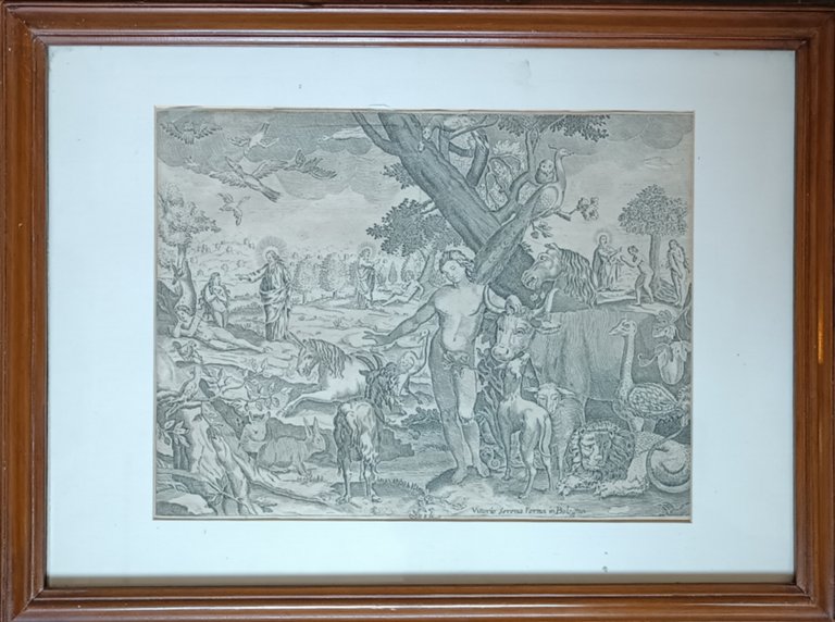 PARADISO TERRESTRE | Immagine Gallery 2