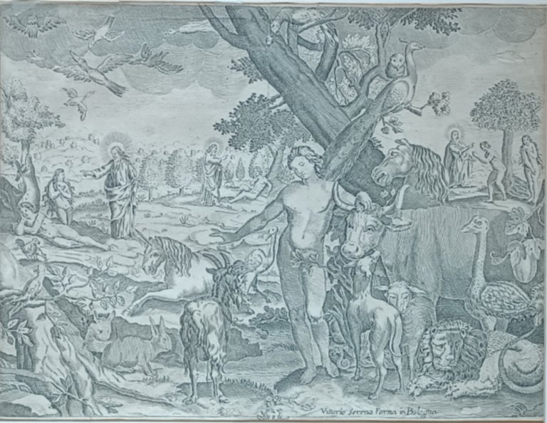 PARADISO TERRESTRE | Immagine Gallery 4