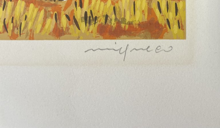 RACCOGLITORI D' ARANCE