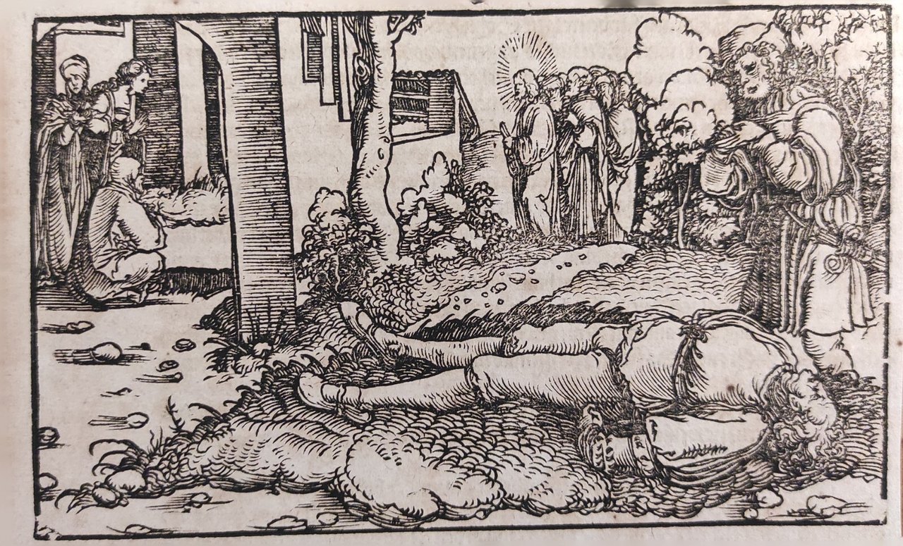 SCENA PER IL "DE REMEDIIS FORTUNAE" DI PETRARCA