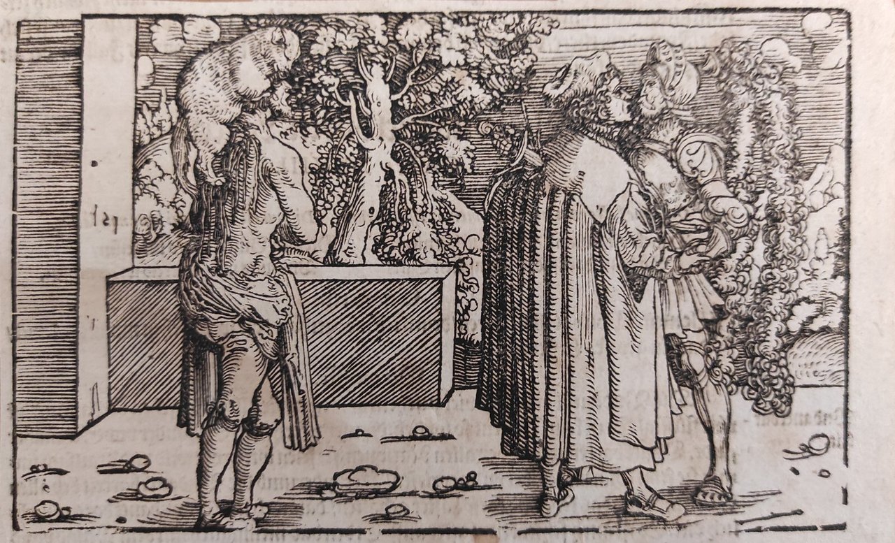 SCENA PER IL "DE REMEDIIS FORTUNAE" DI PETRARCA