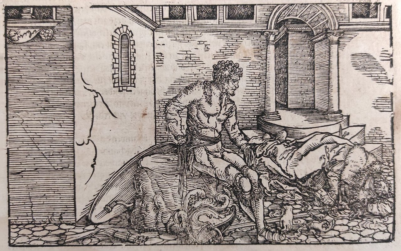 SCENA PER IL "DE REMEDIIS FORTUNAE" DI PETRARCA