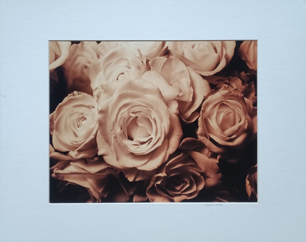 SENZA TITOLO | Immagine principale