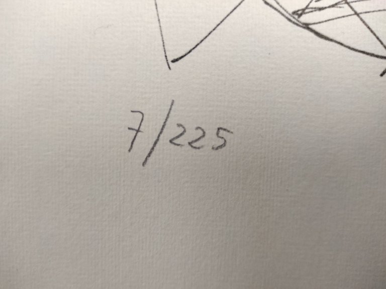 SENZA TITOLO | Immagine Gallery 2