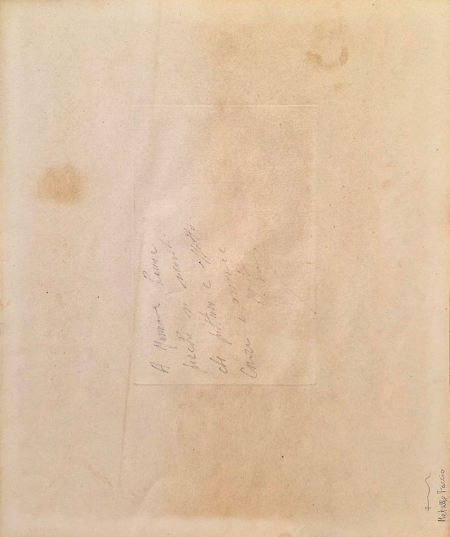 SENZA TITOLO | Immagine Gallery 2