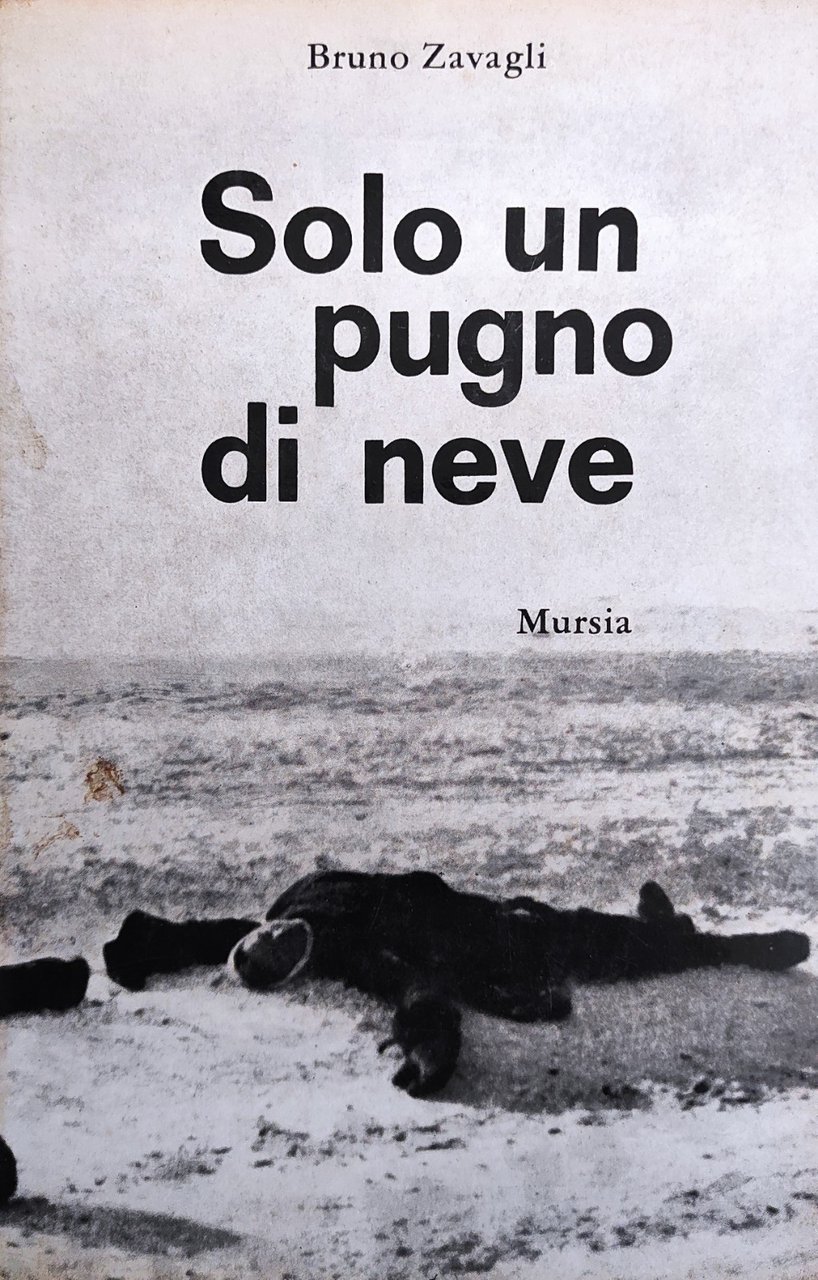 SOLO UN PUGNO DI NEVE
