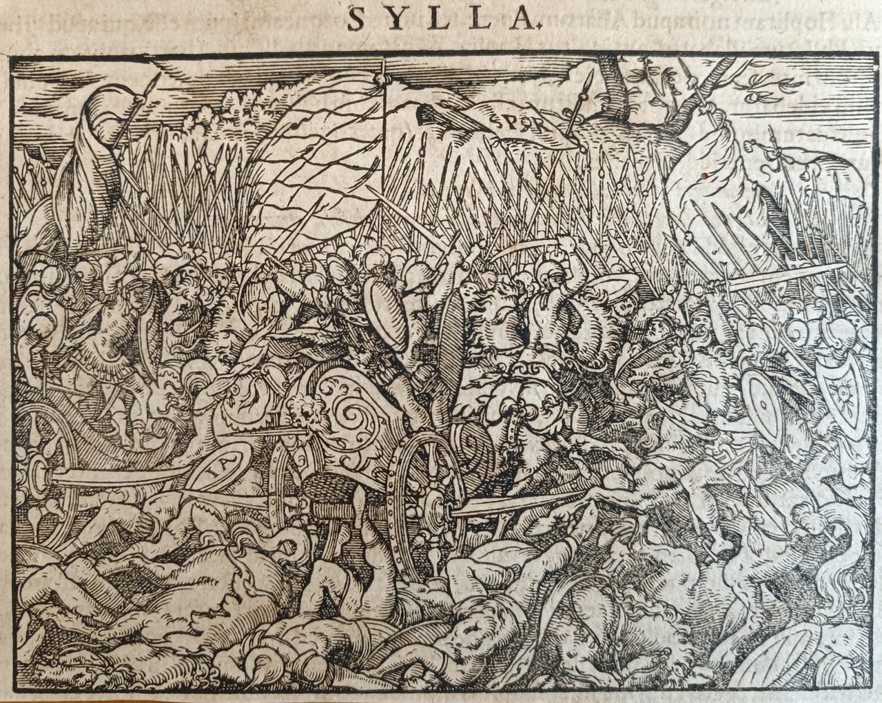 SYLLA | Immagine principale