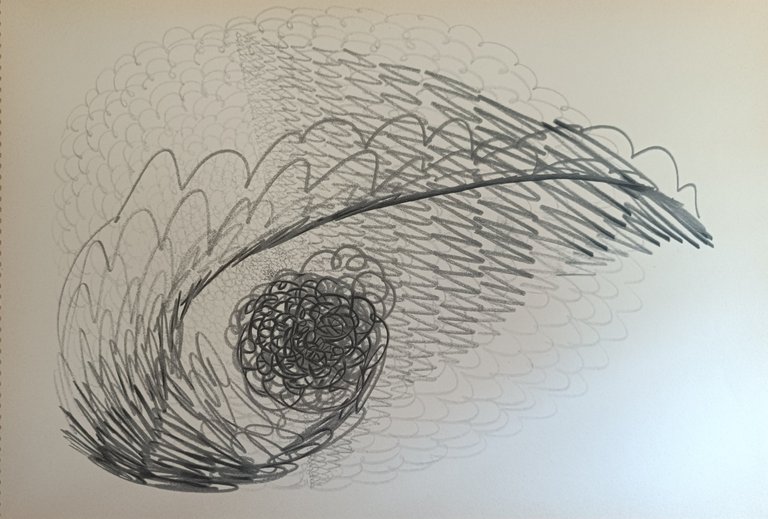 TANCREDI. "SEDICI STUDI"