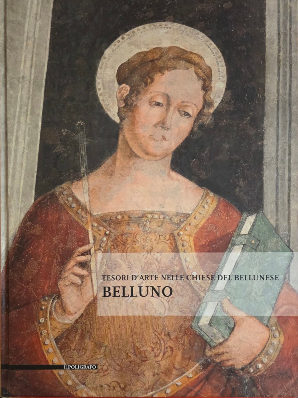 TESORI D' ARTE NELLE CHIESE DELL' ALTO BELLUNESE. BELLUNO