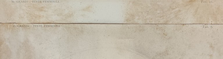 TESTE FEMMINILI TAV. 6 e TAV. 16