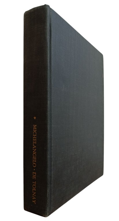 THE YOUTH OF MICHELANGELO