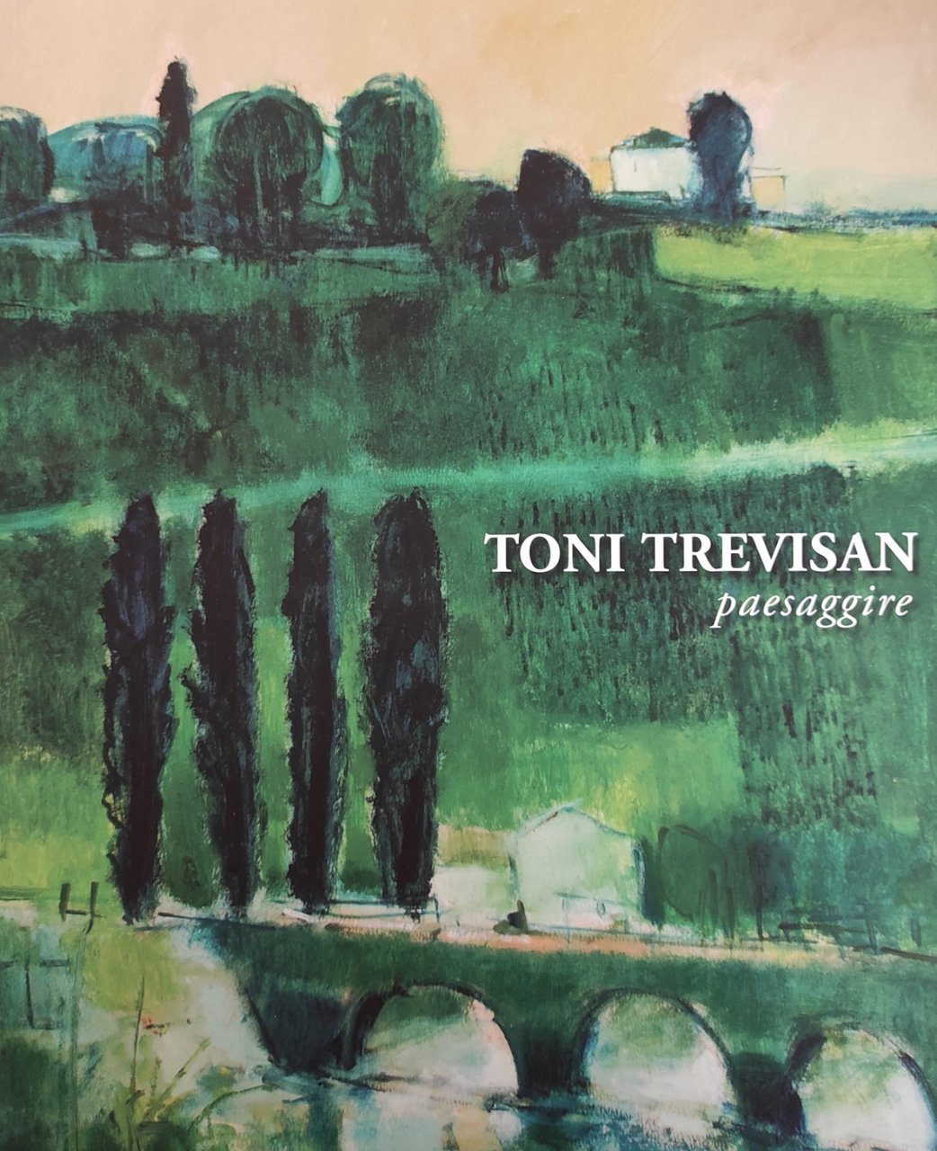TONI TREVISAN. PAESAGGIRE