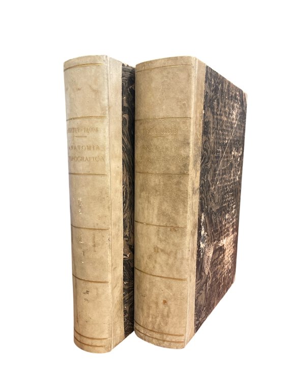 TRATTATO DI ANATOMIA TOPOGRAFICA CON APPLICAZIONI MEDICO-CHIRURGICHE | Immagine Gallery 4