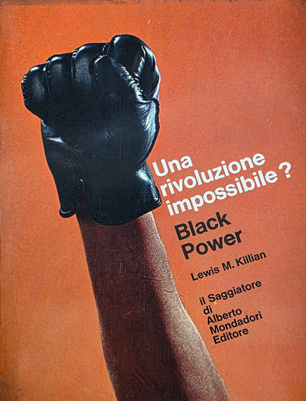 UNA RIVOLUZIONE IMPOSSIBILE? BLACK POWER | Immagine principale