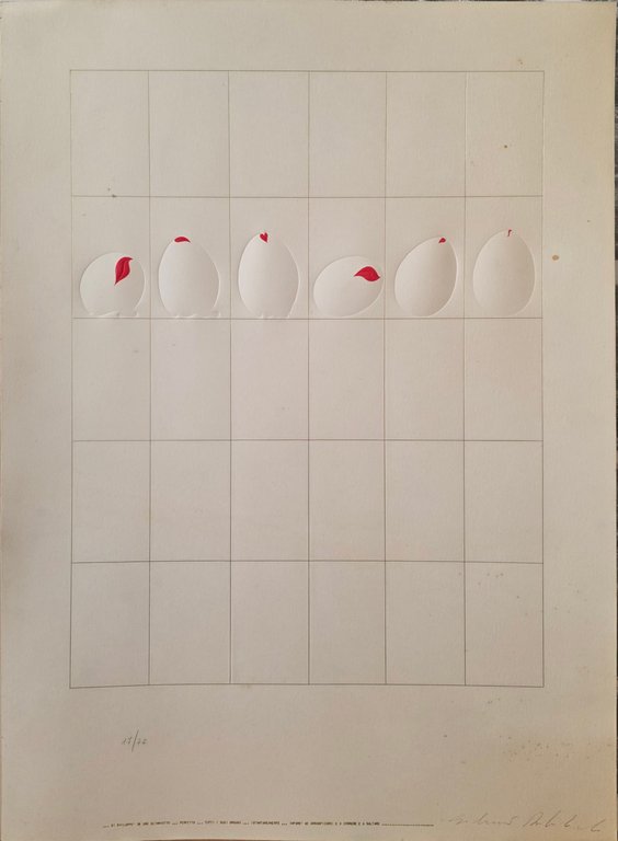 UOVA | Immagine Gallery 3