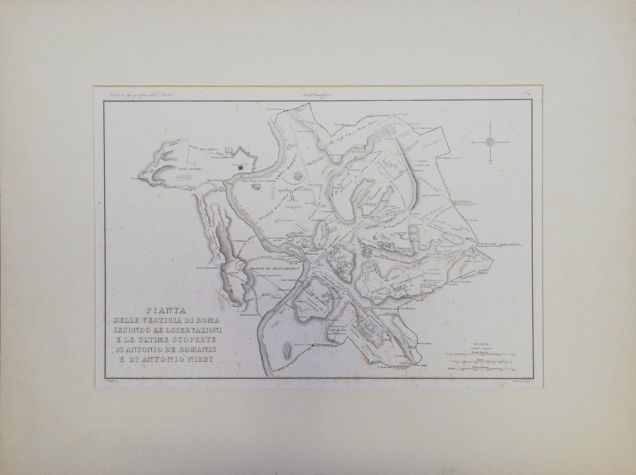 VESTIGIA DI ROMA | Immagine principale