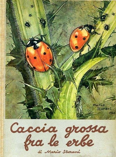 CACCIA GROSSA FRA LE ERBE