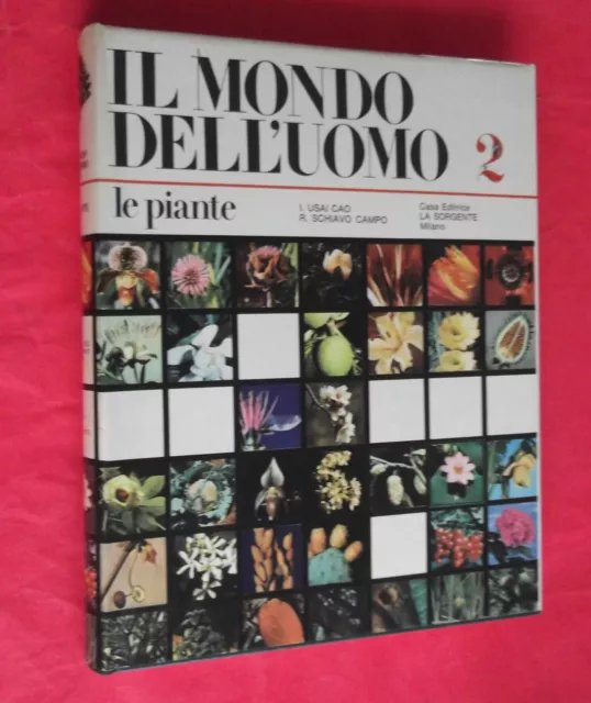MONDO DELL'UOMO LE PIANTE