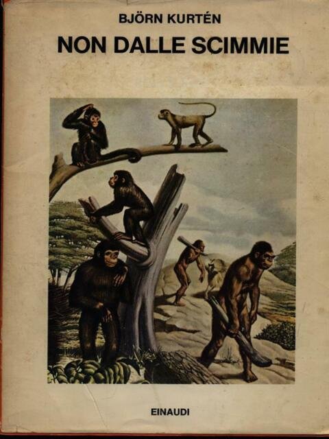 NON DALLE SCIMMIE