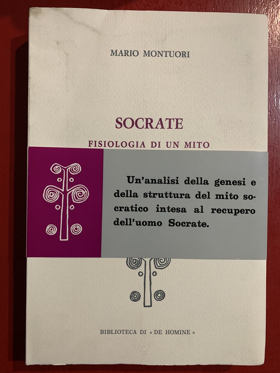 Socrate, fisiologia di un mito