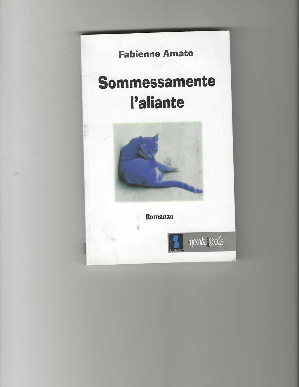 Sommessamente l'aliante | Immagine principale