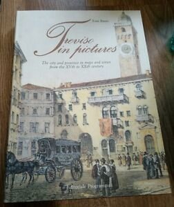 Treviso Illustrata. La Citta E Il Territorio In Piante E … | Immagine principale