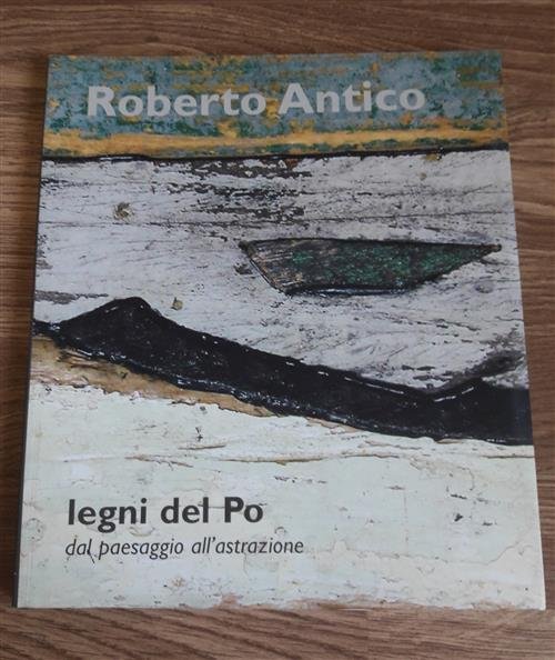 Legni Del Po Sal Paesaggio All'astrazione Roberto Antico Art 2005