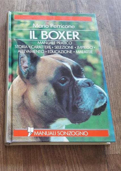 Il Boxer