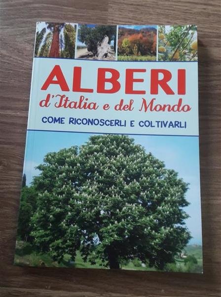 Alberi D'italia E Del Mondo Come Riconoscere