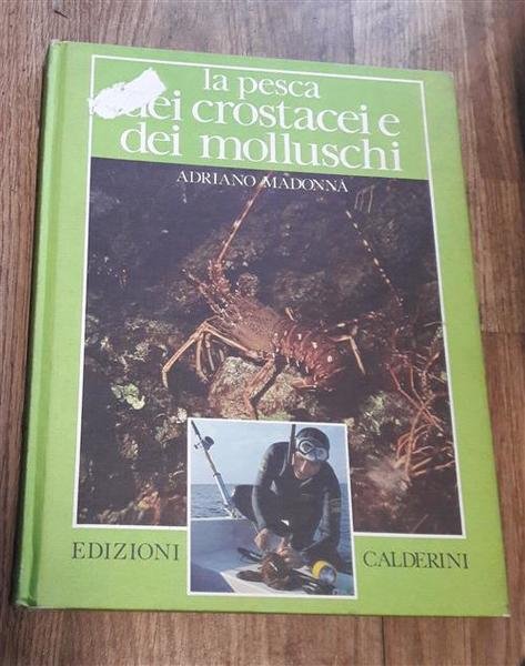 La Pesca Dei Crostacei E Dei Molluschi