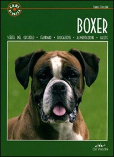 Il Boxer