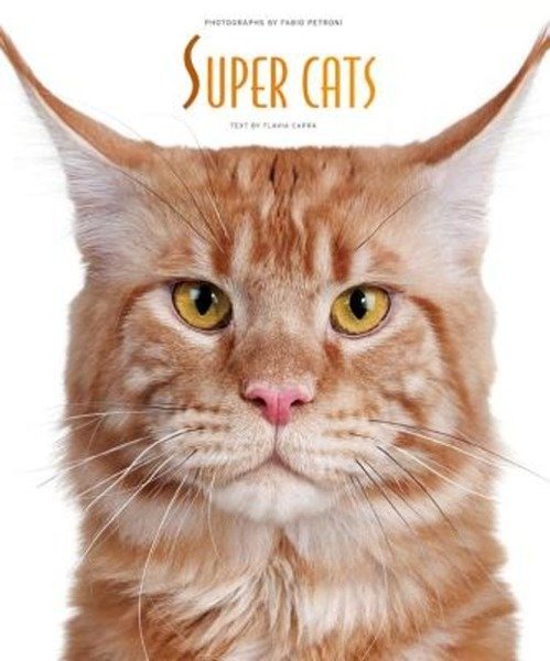 Super Cats | Immagine principale