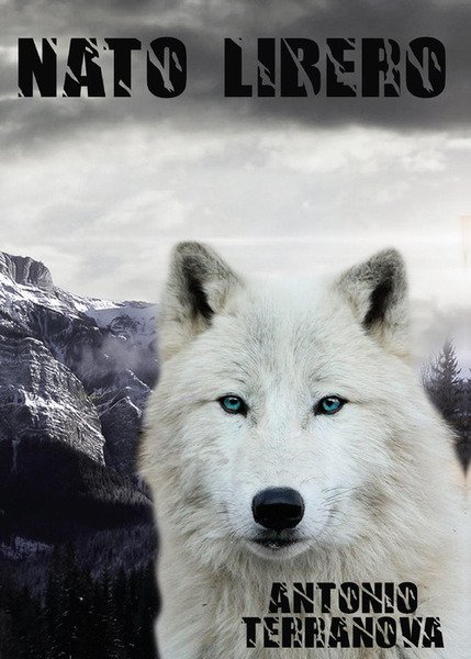 Nato Libero | Immagine principale