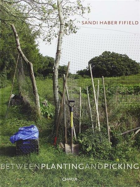 Sandi Haber Fifield. Between Planting And Picking | Immagine principale