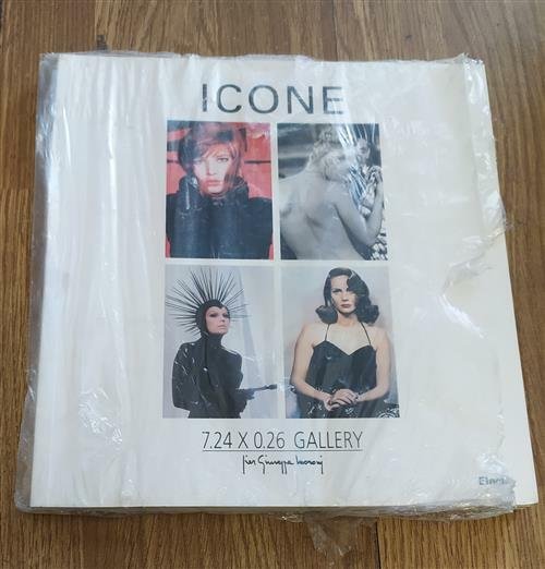 Icone R. Bianco, R. Sadleir Electa 2008