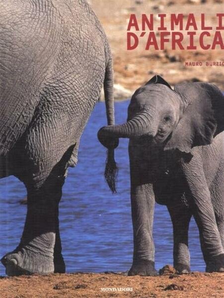 Animali D'africa | Immagine principale