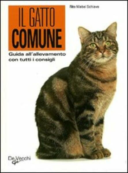 Guida Al Gatto Comune