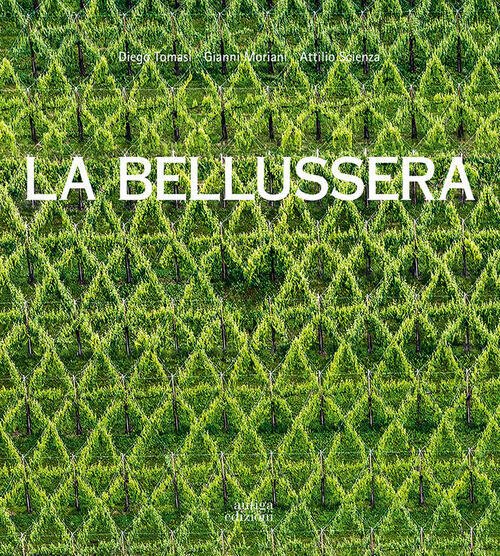 La Bellussera. Storia Di Un'invenzione Che Innovo La Viticoltura Diego …