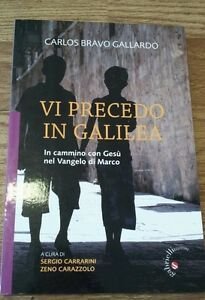 Vi Precedo In Galilea. In Cammino Con Gesù Nel Van | Immagine Gallery 3