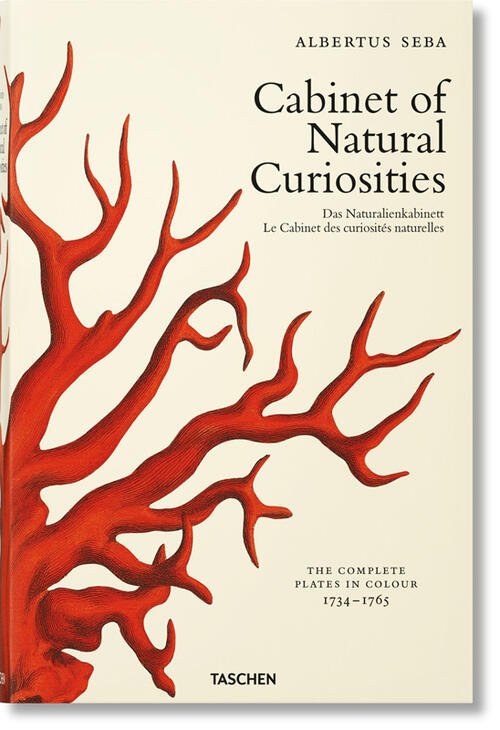 Cabinet Of Natural Curiosities | Immagine principale