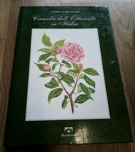 Camelie Dell'ottocento In Italia Guido Cattolica, Angelo Lippi Pacini Editore