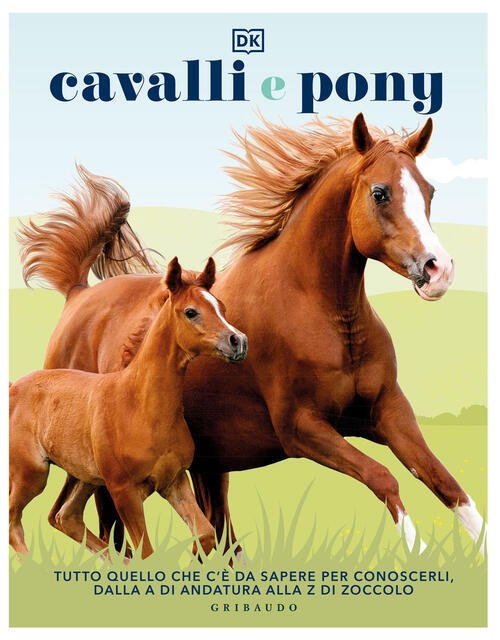 Cavalli E Pony. Ediz. Illustrata