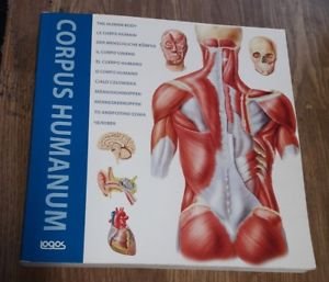 Corpus Humanum. Ediz. Italiana, Inglese, Francese, Spagnola E Tedesca Logos …